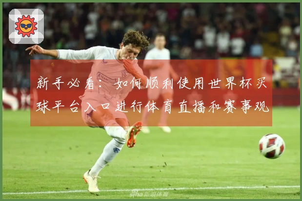 新手必看：如何顺利使用世界杯买球平台入口进行体育直播和赛事观看