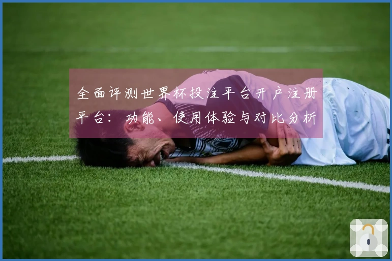 全面评测世界杯投注平台开户注册平台：功能、使用体验与对比分析