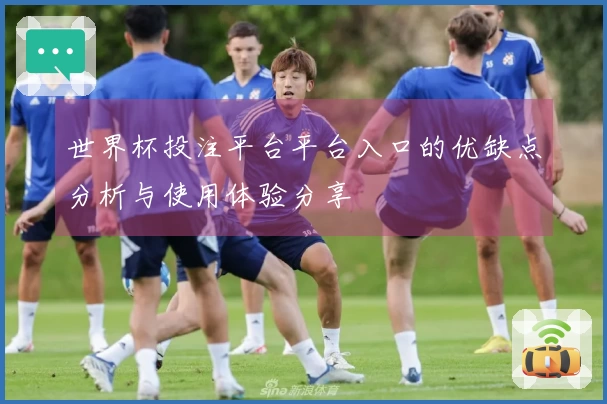 世界杯投注平台平台入口的优缺点分析与使用体验分享
