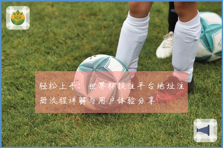 轻松上手：世界杯投注平台地址注册流程详解与用户体验分享