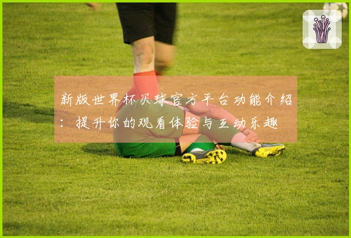新版世界杯买球官方平台功能介绍：提升你的观看体验与互动乐趣