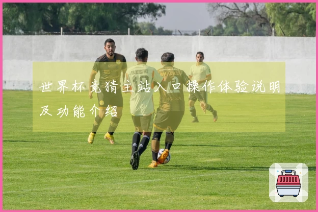 世界杯竞猜主站入口操作体验说明及功能介绍