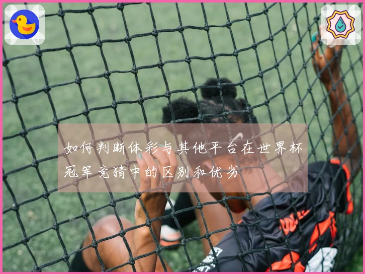 如何判断体彩与其他平台在世界杯冠军竞猜中的区别和优劣