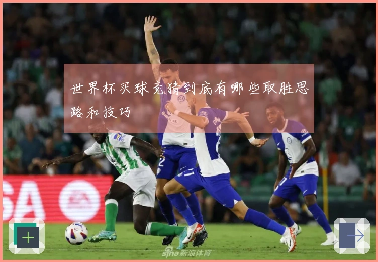 世界杯买球竞猜到底有哪些取胜思路和技巧