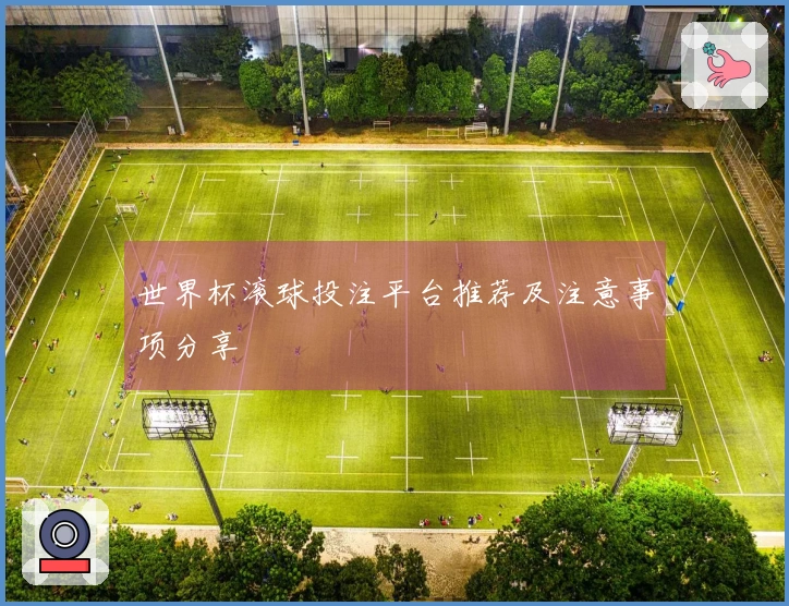 世界杯滚球投注平台推荐及注意事项分享