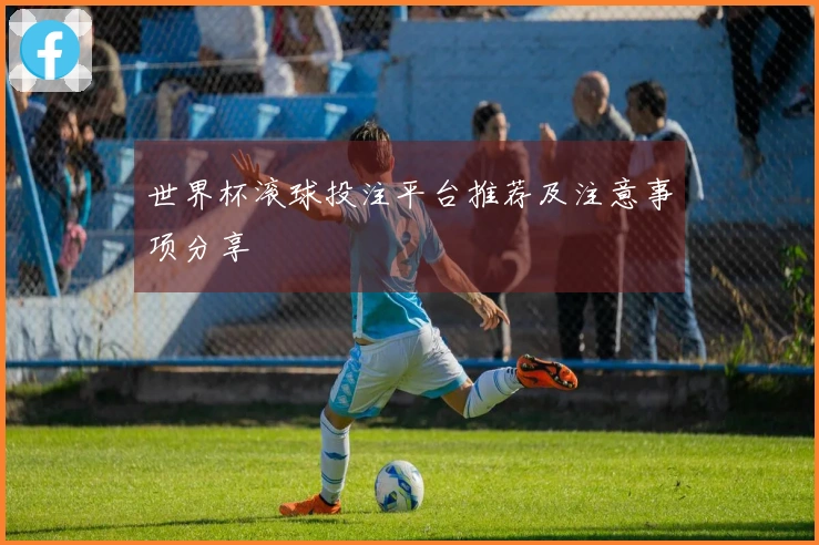 世界杯滚球投注平台推荐及注意事项分享